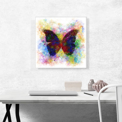 Black Dark Butterfly Wings Insect