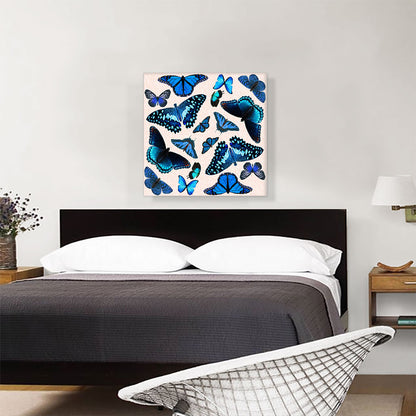 Blue Black Baby Butterfly Wings Insect