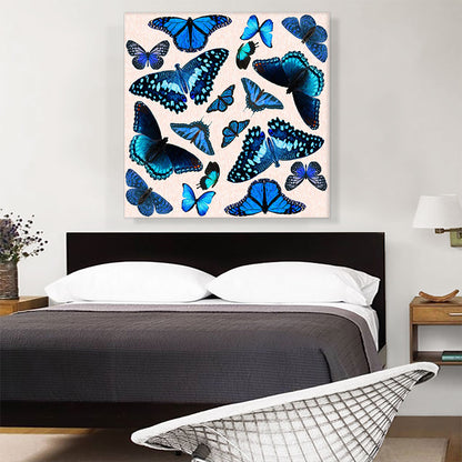 Blue Black Baby Butterfly Wings Insect