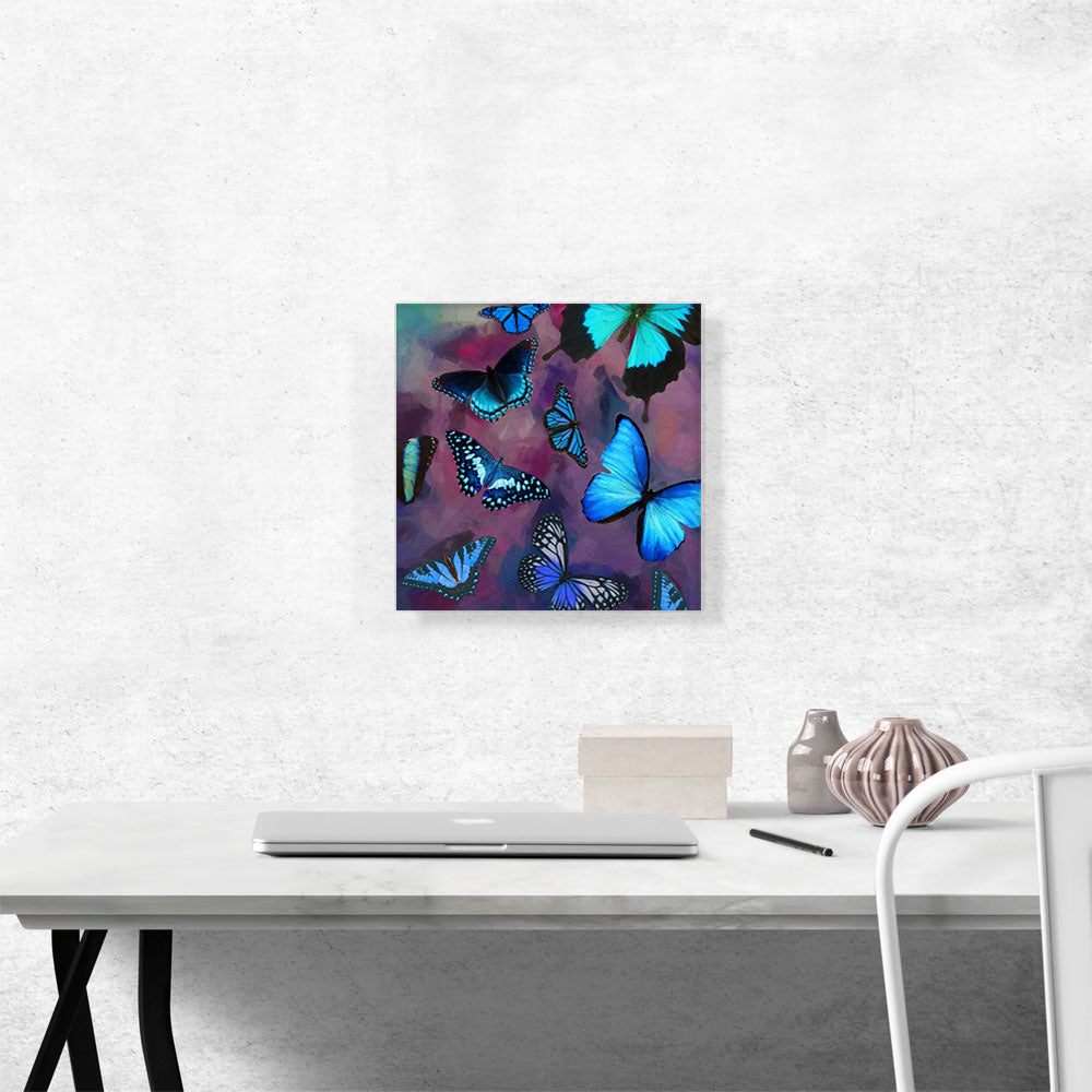 Blue Black Butterfly Wings Insect Purple