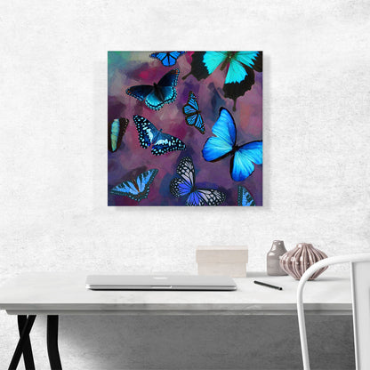 Blue Black Butterfly Wings Insect Purple