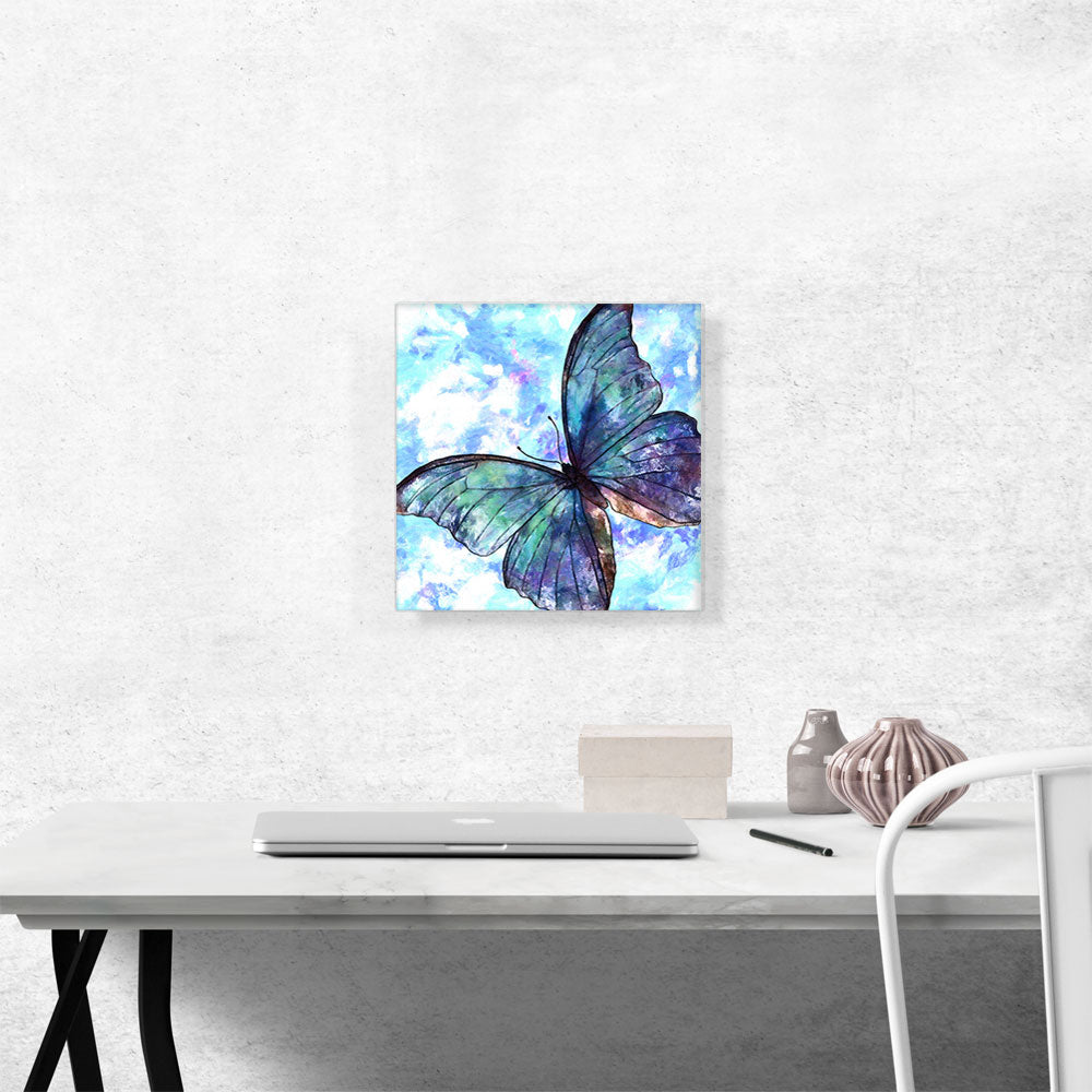 Blue Butterfly Wings Insect