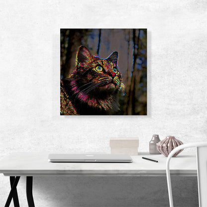 Norwegian Forest Cat Bright
