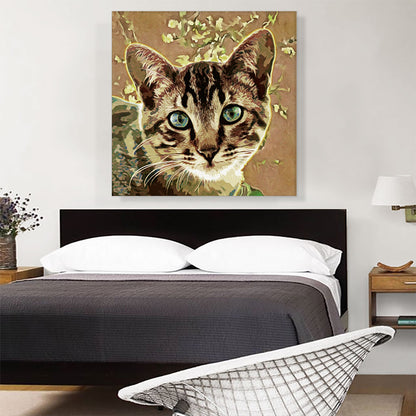Ocicat Cat Breed Orange