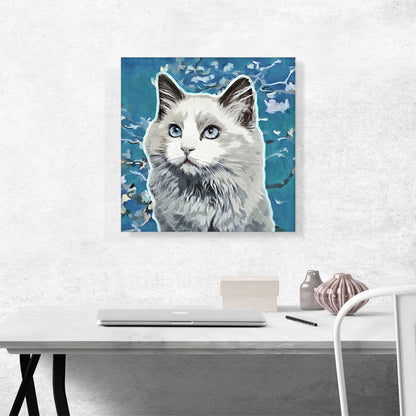 Ojos Azules Cat Breed Blue