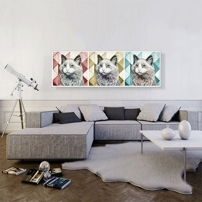 Ojos Azules Cat Breed Panoramic