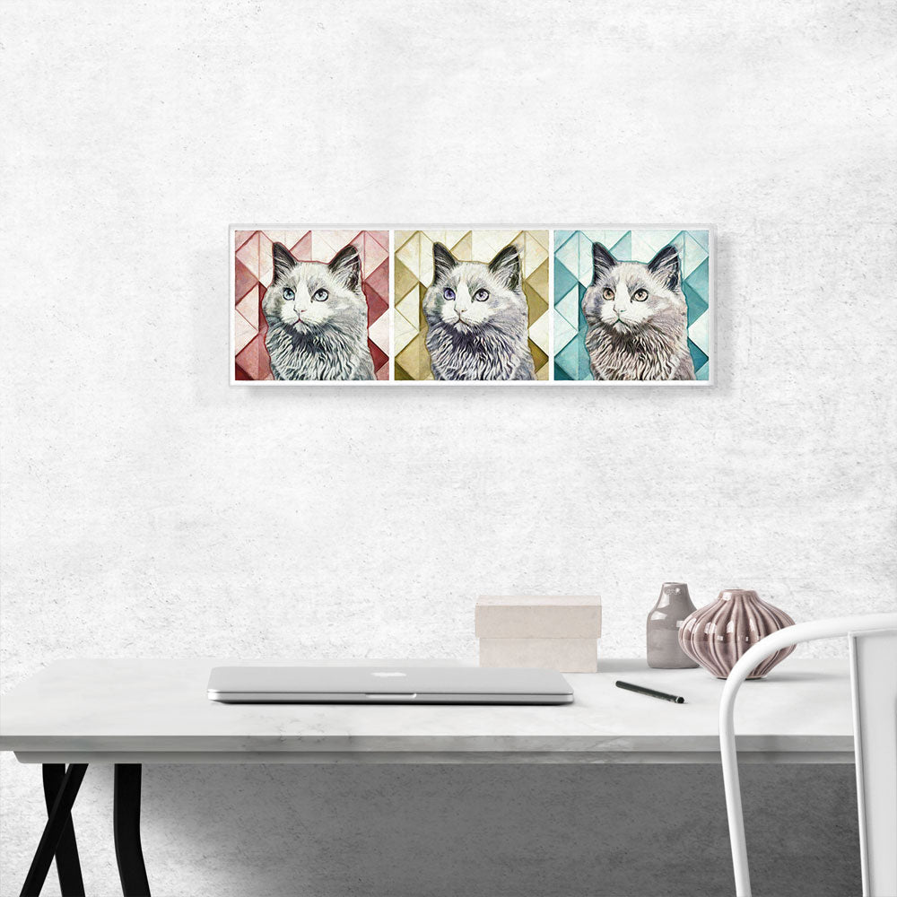 Ojos Azules Cat Breed Panoramic