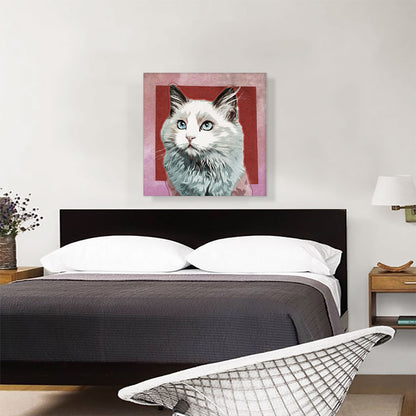 Ojos Azules Cat Breed Red