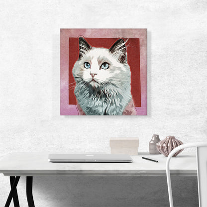 Ojos Azules Cat Breed Red