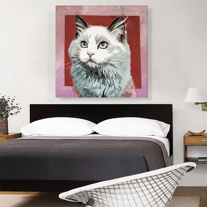 Ojos Azules Cat Breed Red
