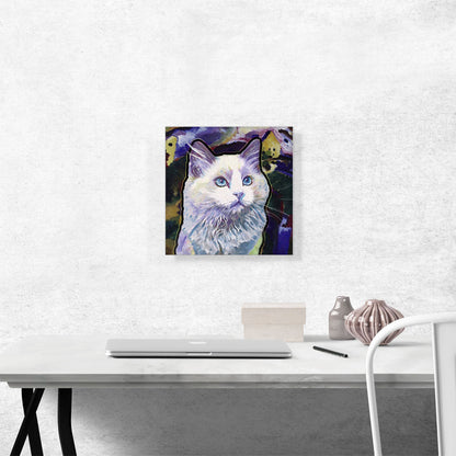 Ojos Azules Cat Breed Violet