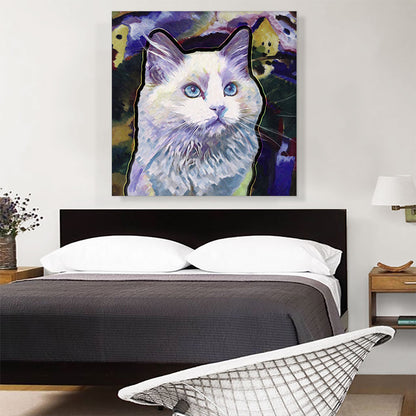 Ojos Azules Cat Breed Violet