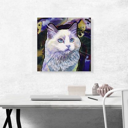 Ojos Azules Cat Breed Violet