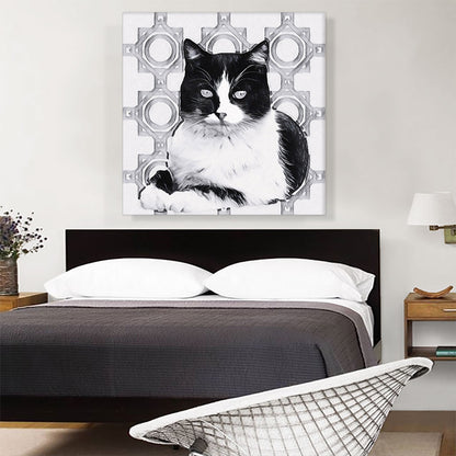 Aegean Cat Breed Gray