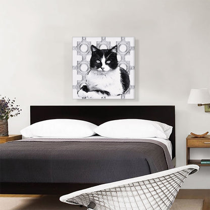 Aegean Cat Breed Gray