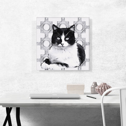 Aegean Cat Breed Gray