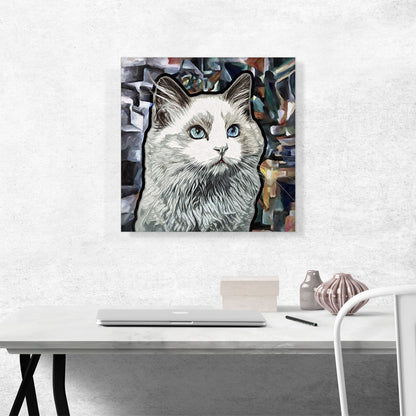 Ojos Azules Cat Breed