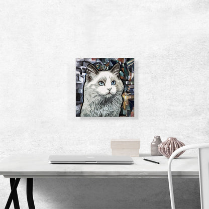 Ojos Azules Cat Breed