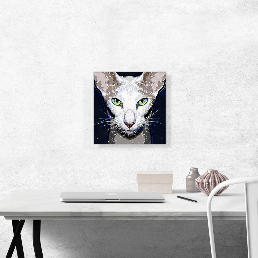 Oriental Shorthair Cat Breed Dark