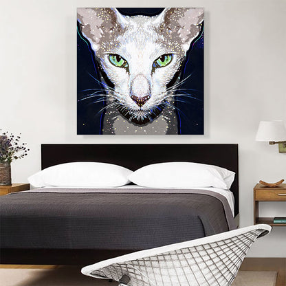 Oriental Shorthair Cat Breed Dark