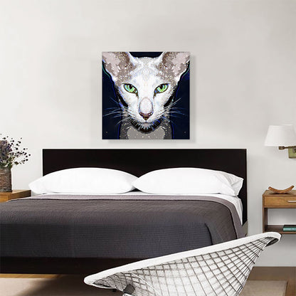 Oriental Shorthair Cat Breed Dark