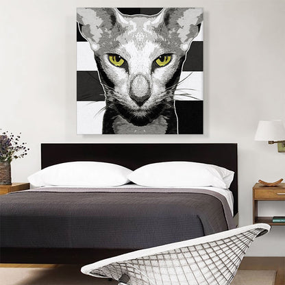 Oriental Shorthair Cat Breed Greyscale