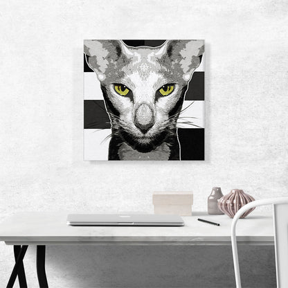 Oriental Shorthair Cat Breed Greyscale