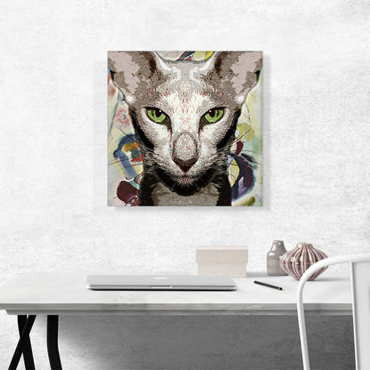 Oriental Shorthair Cat Breed