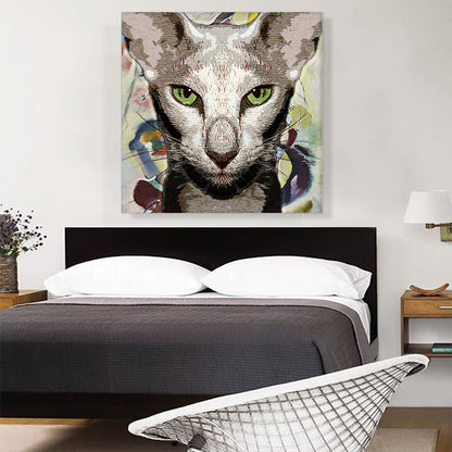 Oriental Shorthair Cat Breed