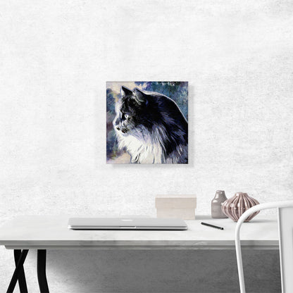 Persian Cat Breed Blue