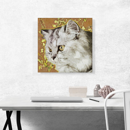 Persian Cat Breed Orange