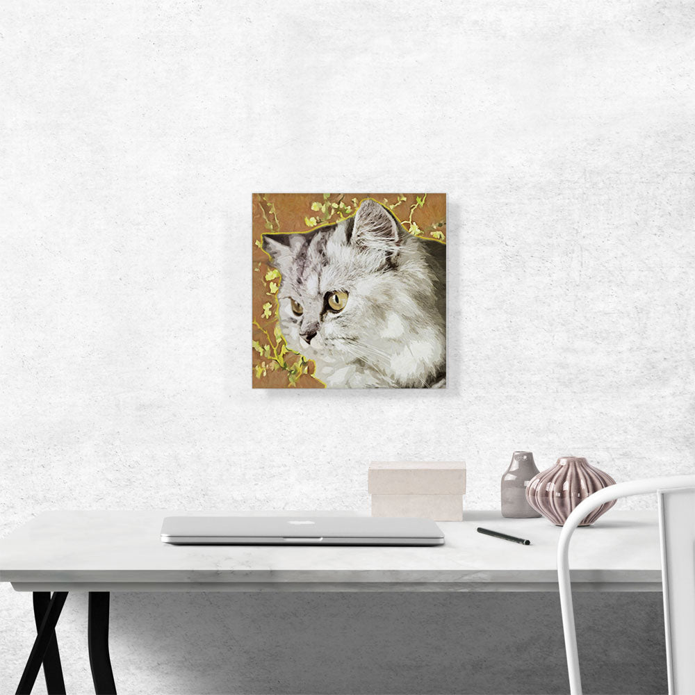 Persian Cat Breed Orange