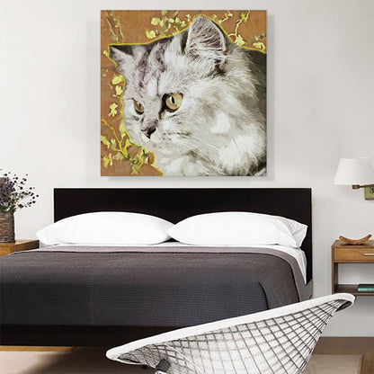 Persian Cat Breed Orange