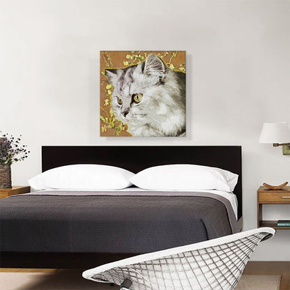Persian Cat Breed Orange
