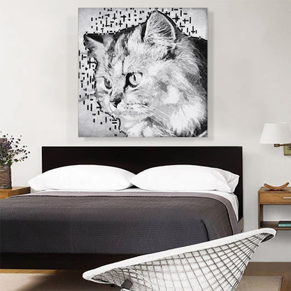 Persian Cat Breed White