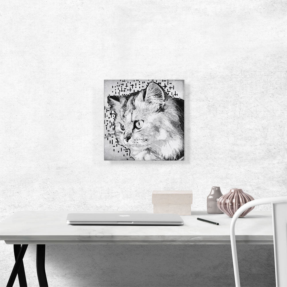Persian Cat Breed White