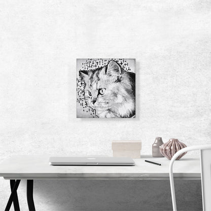 Persian Cat Breed White