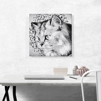 Persian Cat Breed White