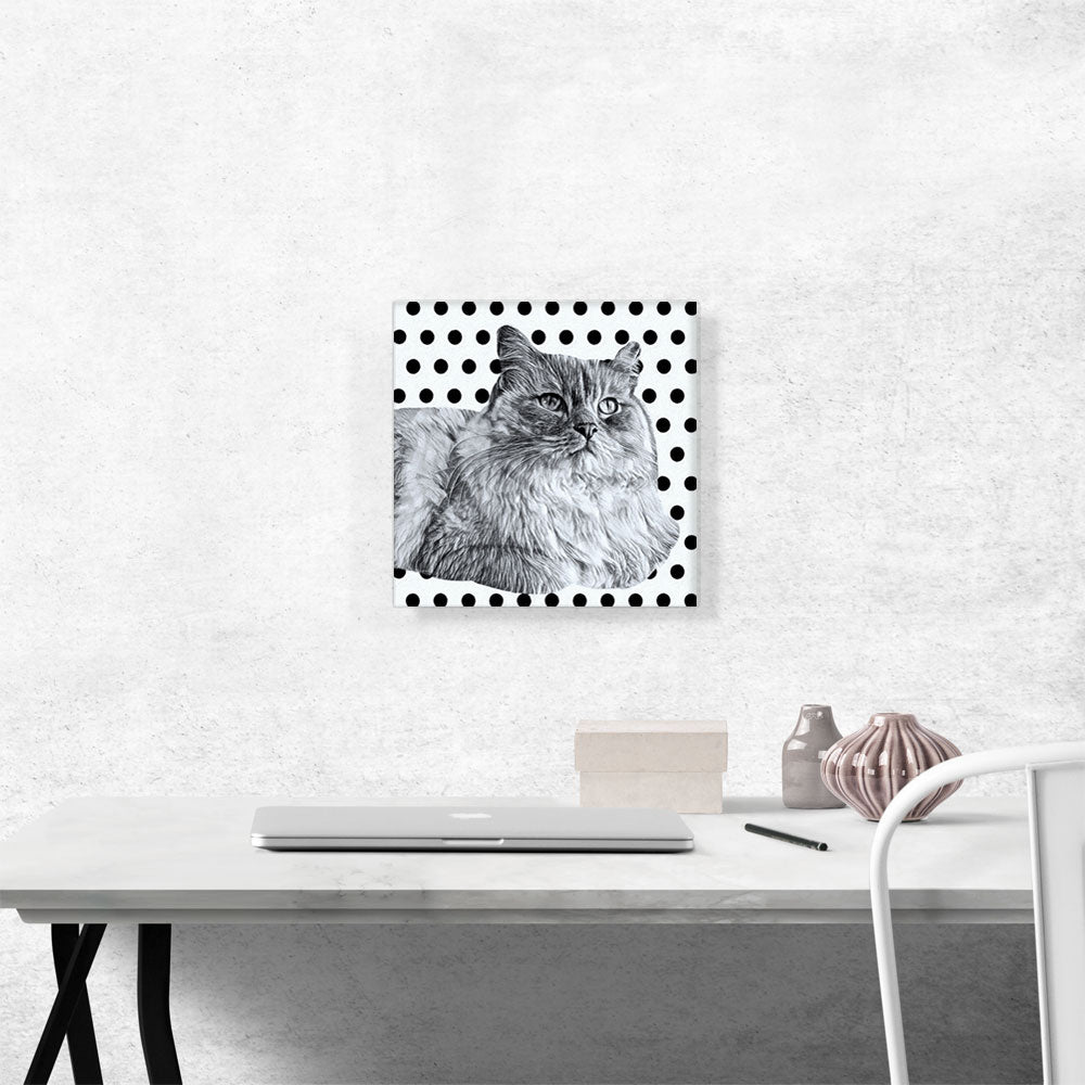Ragamuffin Cat Breed Dots