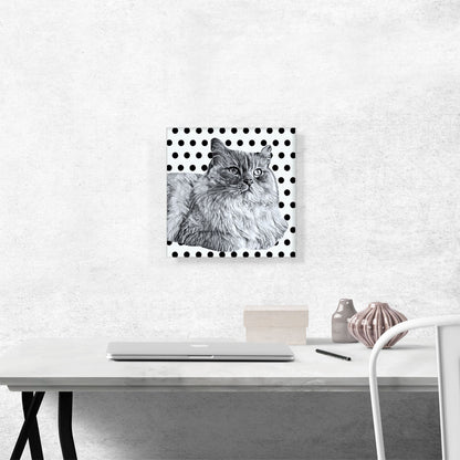 Ragamuffin Cat Breed Dots