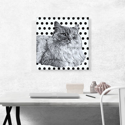 Ragamuffin Cat Breed Dots