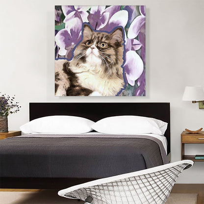 Ragamuffin Cat Breed Violet
