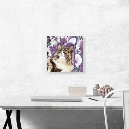 Ragamuffin Cat Breed Violet