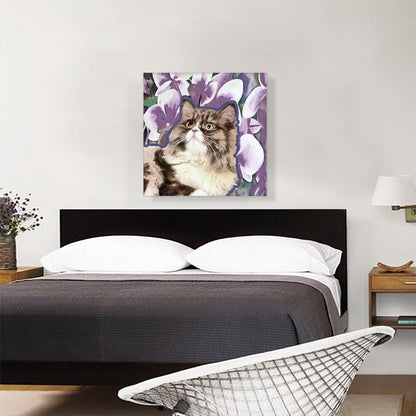 Ragamuffin Cat Breed Violet