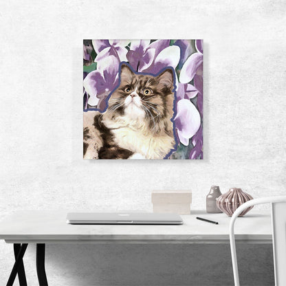 Ragamuffin Cat Breed Violet