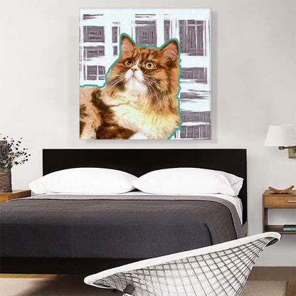 Ragamuffin Cat Breed