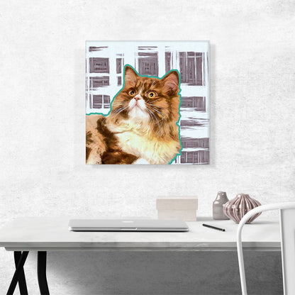 Ragamuffin Cat Breed