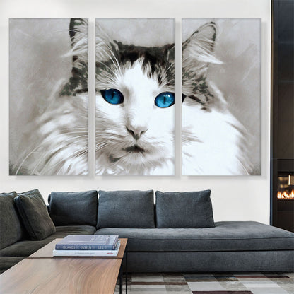 Ragdoll Cat Breed Blue Eyes