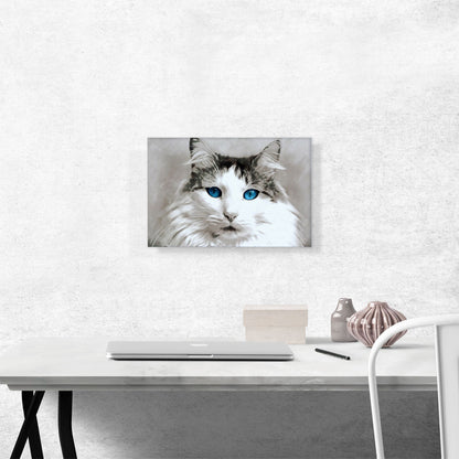 Ragdoll Cat Breed Blue Eyes