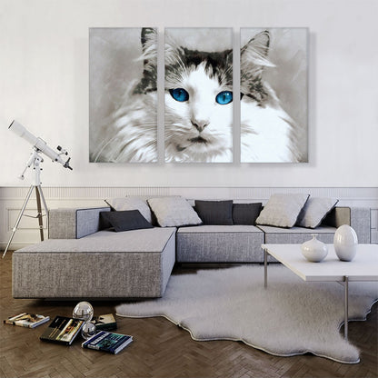 Ragdoll Cat Breed Blue Eyes